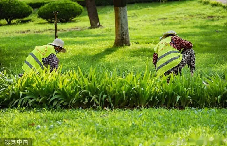 花草园林景观设计方案