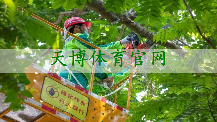 枝江市政绿化公司累吗