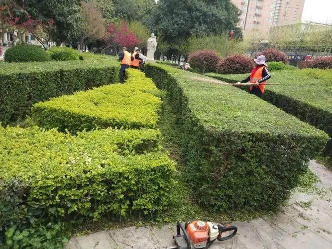 屋顶花园绿化工程